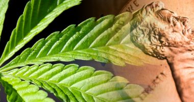 marijuana penny stocks to watch