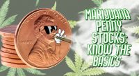 marijuana penny stocks to buy