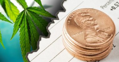 marijuana penny stocks to buy