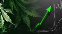 marijuana stocks to watch