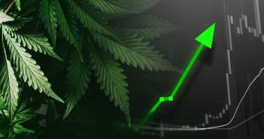 marijuana stocks to watch