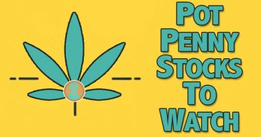 pot penny stocks to watch