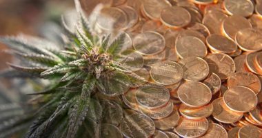 pot penny stocks to watch