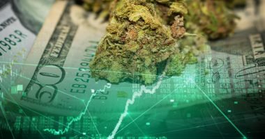 pot penny stocks to watch