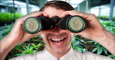 pot stocks to watch