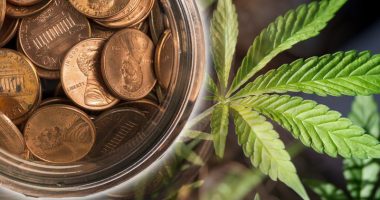 pot penny stocks to buy 2019