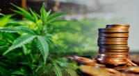 penny stocks to watch marijuana stocks today