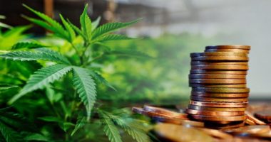 penny stocks to watch marijuana stocks today