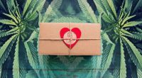 marijuana penny stocks valentines day