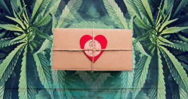 marijuana penny stocks valentines day