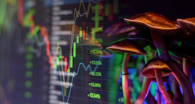 psychedelic penny stocks to watch mushroom stocks