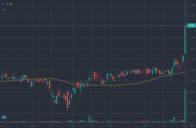 Did These Low Float Penny Stocks Make The Cut This Week?