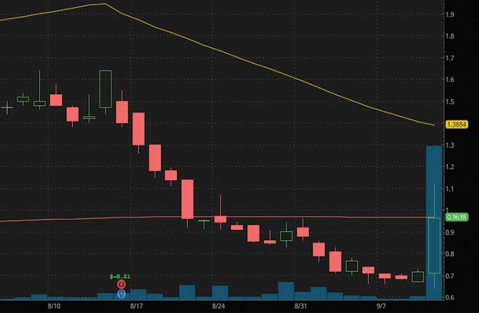 Are These The Best Penny Stocks To Buy Under $1? 3 To Watch Now