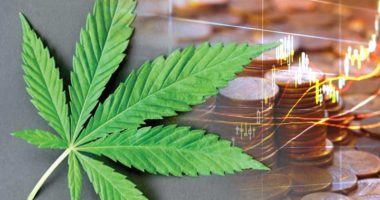 best marijuana penny stocks to buy avoid right now_