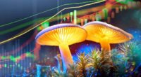 best mushroom penny stocks psychadelic stock to watch