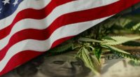 top US marijuana penny stocks to watch right now