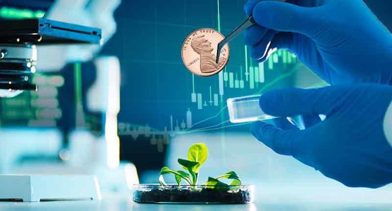 best biotech penny stocks to watch this month