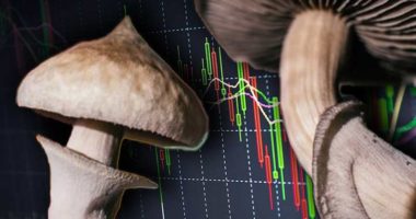 magic mushroom stocks to watch