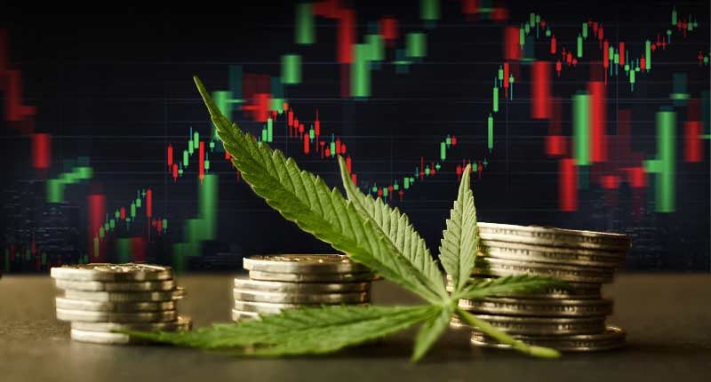 marijuana penny stocks to watch right now