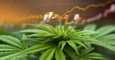 hot penny stocks to watch marijuana stock