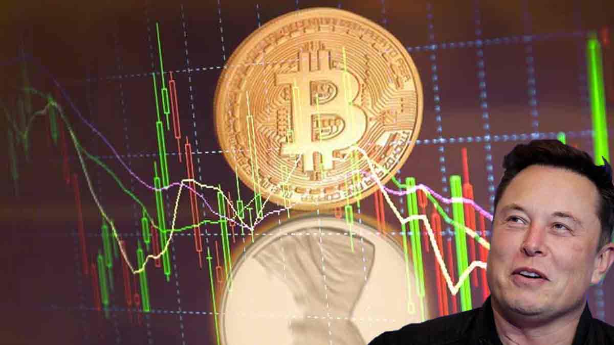 5 Penny Stocks To Watch As Tesla Boosts Bitcoin Prices