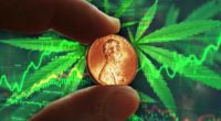 hot marijuana penny stocks to buy right now