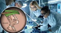 best penny stocks on robinhood to watch biotech