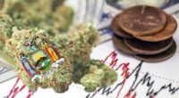 marijuana penny stocks to watch right now