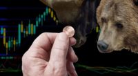 top penny stocks today bull bear coin chart