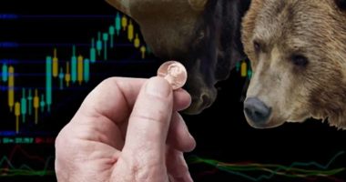 top penny stocks today bull bear coin chart