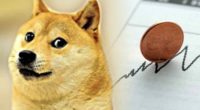 doge penny stocks to watch