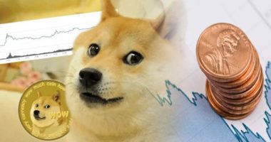 doge penny stocks to watch