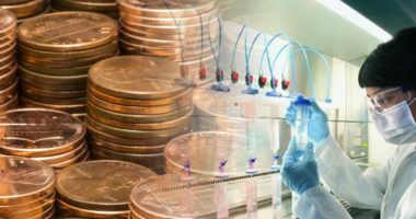 best biotech penny stocks to watch