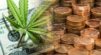 marijuana penny stocks buy now