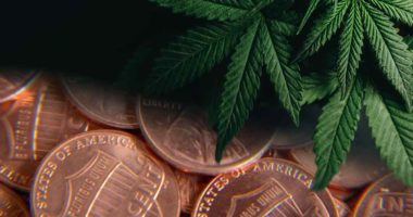 marijuana penny stocks to buy marijuana legalization