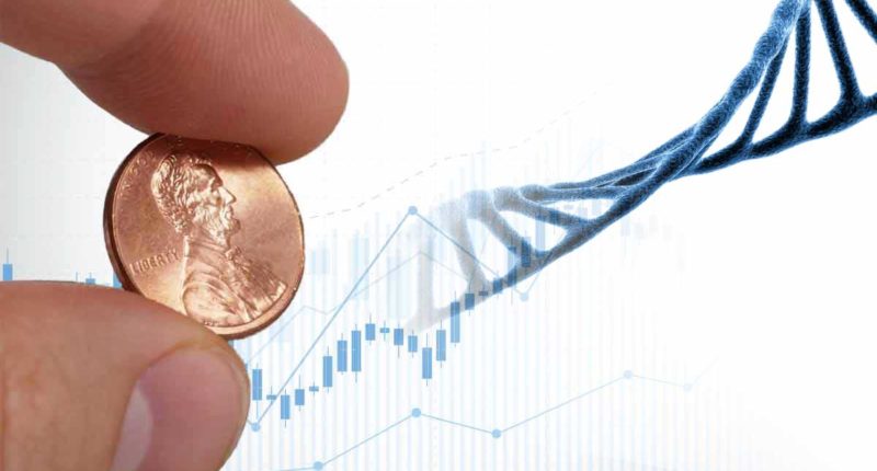 best penny stocks to watch right now biotech dna