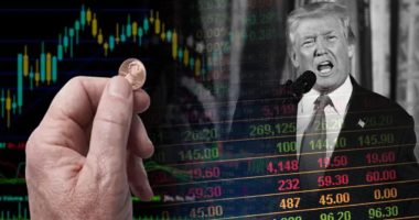 best trump stocks to watch right now