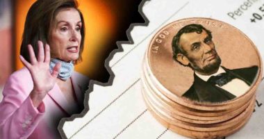 pelosi penny stocks to buy government officials