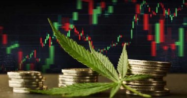 marijuana penny stocks to buy