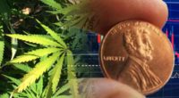 marijuana penny stocks